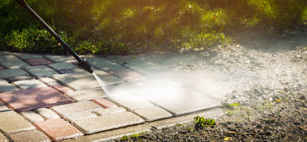 Best Animal Enclosure Cleaning  in Rigby, ID